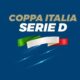 Coppa Italia serie D